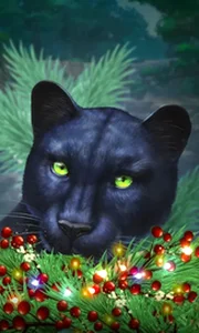 Blue Panther -CE